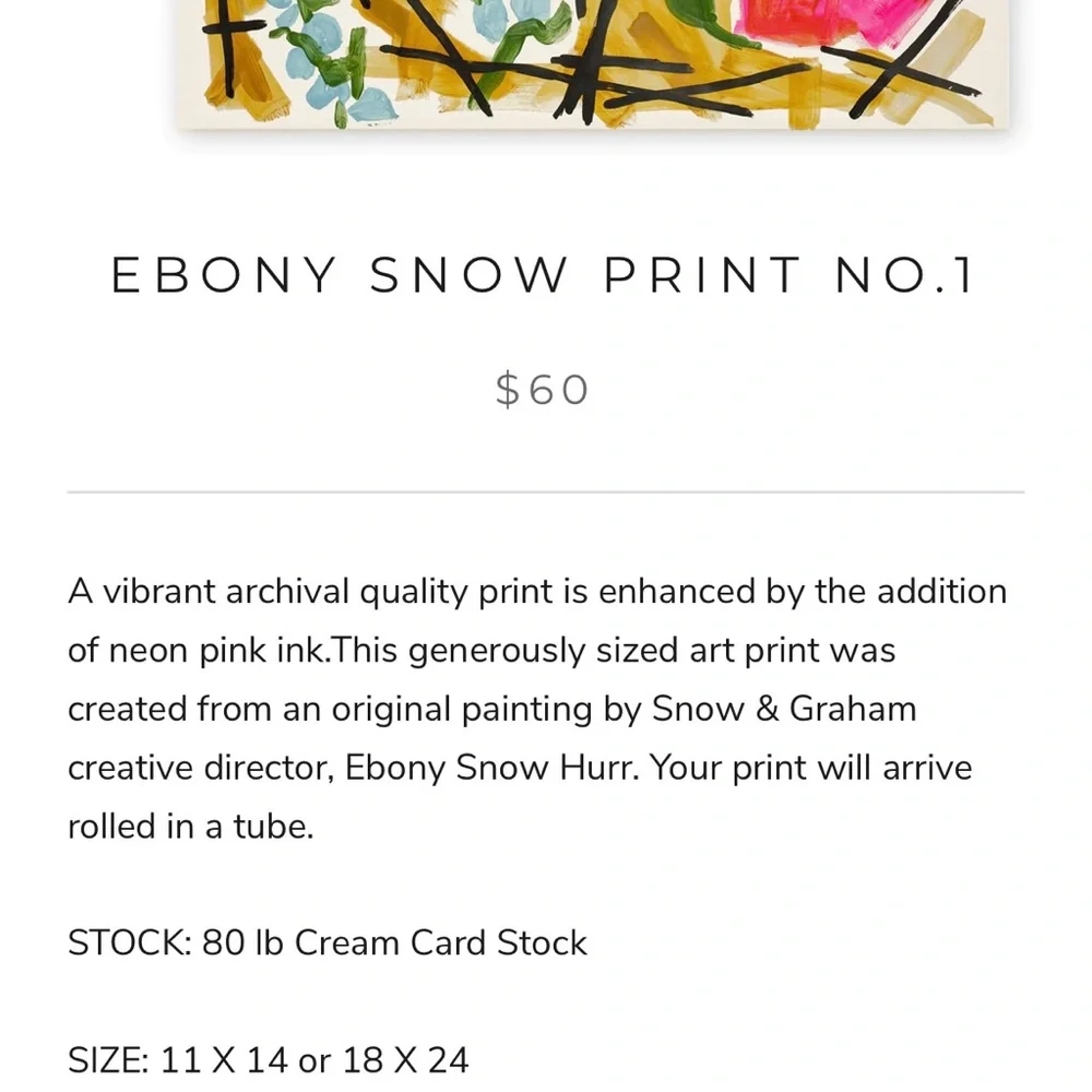 NWT - 11x14 Ebony Snow Print No. 1
